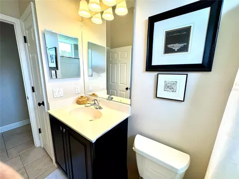 Bath - 1539 Ormond Ter, Parrish, FL 34219 photo 9 of 10