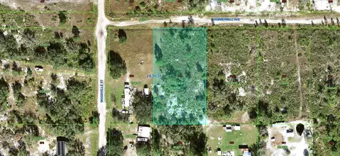 26-30 36-000000-024200 Hammermill Ave, Lake Wales, FL 33859