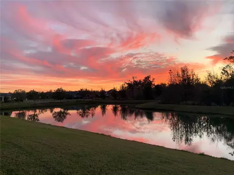 View/Area - 4521 Deep Creek Ter, Parrish, FL 34219 photo 6 of 6