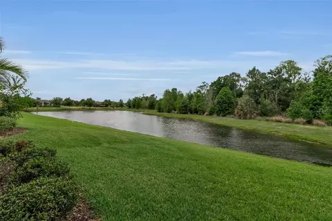 View/Area - 4521 Deep Creek Ter, Parrish, FL 34219 photo 4 of 6