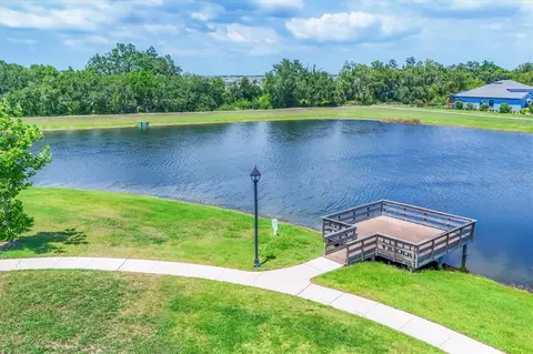 View/Area - 12815 Rainwashed Loop, Parrish, FL 34219 photo 11 of 14