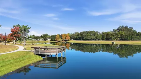 View/Area - 12815 Rainwashed Loop, Parrish, FL 34219 photo 12 of 14