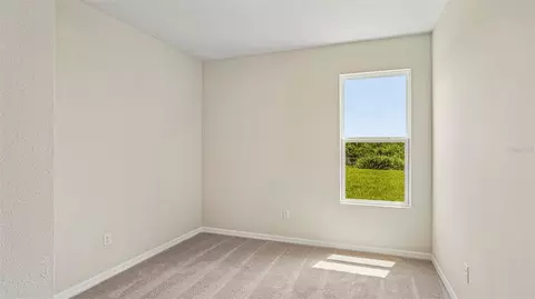 17143 James Trl, Parrish, FL 34219 photo 20