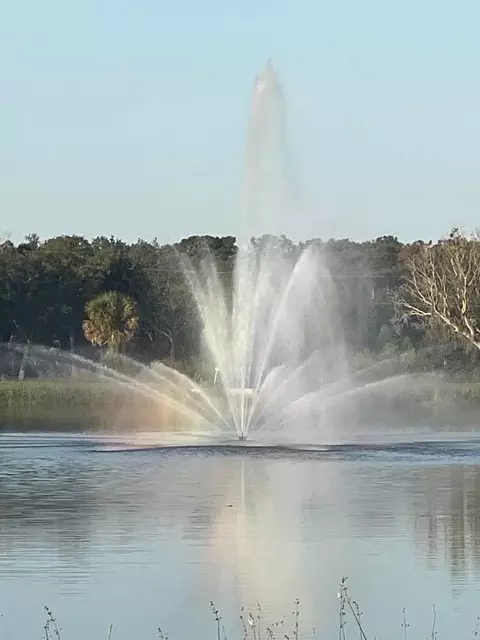 View/Area - 5906 164th Ave E, Parrish, FL 34219 photo 13 of 14