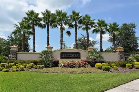 View/Area - 7730 110th Ave E, Parrish, FL 34219 photo 8 of 12