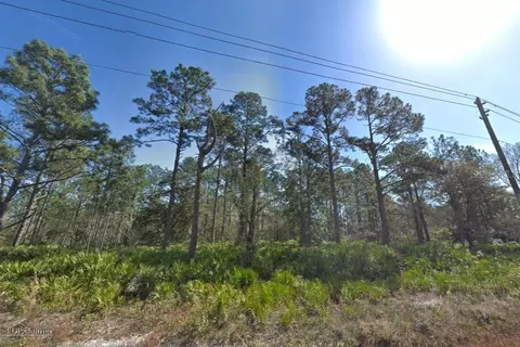 10610 Yeager Ave, Hastings, FL 32145