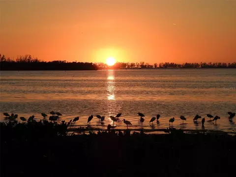View/Area - 4857 Independence Dr, Bradenton, FL 34210 photo 23 of 23