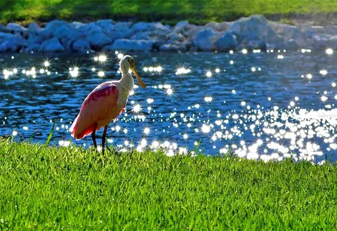 Other - 4857 Independence Dr, Bradenton, FL 34210 photo 6 of 25