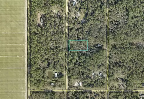 10690 Hennessey Ave, Hastings, FL 32145