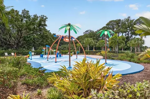 View/Area - 8717 Corkscrew Xing, Parrish, FL 34219 photo 14 of 14