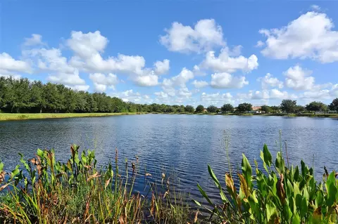 View/Area - 12554 Cara Cara Loop, Bradenton, FL 34212 photo 8 of 13