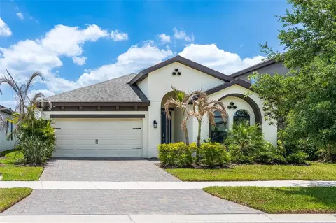 12822 Satin Lily Dr, Riverview, FL 33579