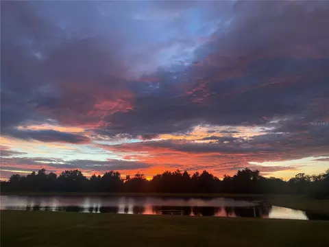 View/Area - 16121 61st Ln E, Parrish, FL 34219 photo 11 of 13