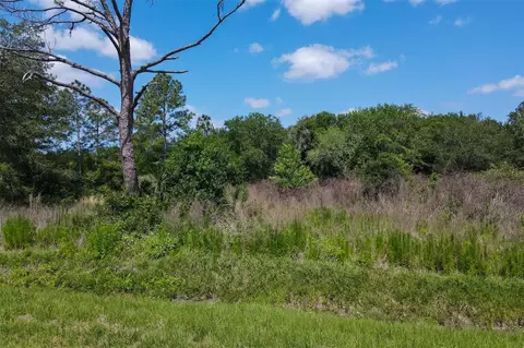 1729 Shenandoah Rd, Wimauma, FL 33598 photo 15