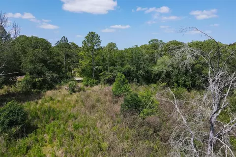 1729 Shenandoah Rd, Wimauma, FL 33598 photo 21