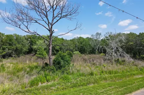 1729 Shenandoah Rd, Wimauma, FL 33598 photo 17