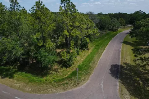 1729 Shenandoah Rd, Wimauma, FL 33598 photo 5
