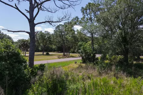 1729 Shenandoah Rd, Wimauma, FL 33598 photo 19