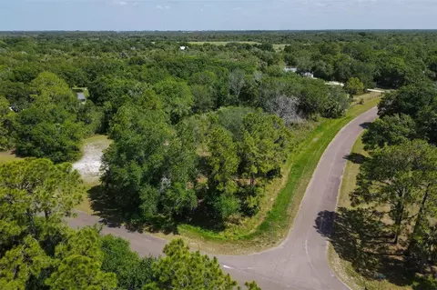 1729 Shenandoah Rd, Wimauma, FL 33598 photo 3