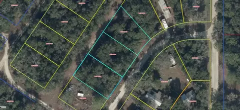 lot2 NE 4 Ne 157th Ave, Williston, FL 32696