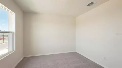 Bedroom - 10923 Rabbit Grove Trl, Parrish, FL 34219 photo 16 of 16