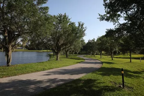 View/Area - 1307 Thornbury Dr, Parrish, FL 34219 photo 11 of 24