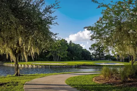 View/Area - 1444 Canberley Ct, Trinity, FL 34655 photo 10 of 11