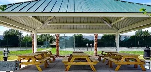 View/Area - 1444 Canberley Ct, Trinity, FL 34655 photo 7 of 11