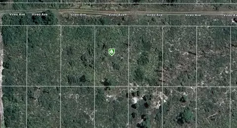 222 Vireo Ave, Sebring, FL 33870