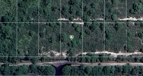 732 Quail Ave, Sebring, FL 33870