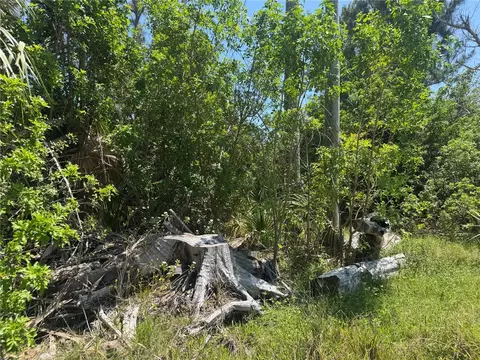 8992 Seagrape Ln, Placida, FL 33946 photo 6