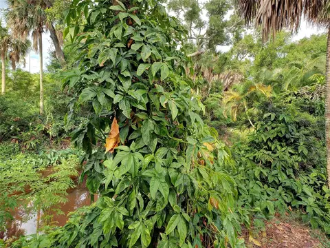 Other - 1303 E Gate Dr, Venice, FL 34285 photo 8 of 15