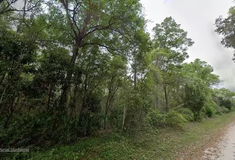 88 NE 463rd Ave, Old Town, FL 32680