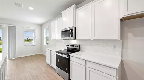 1505 Love Grass Ter, Parrish, FL 34219 photo 6