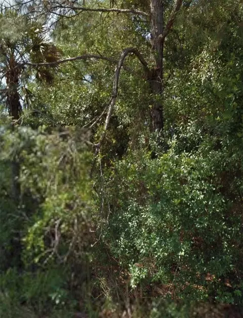 Ohio Road, North Port, FL 34291