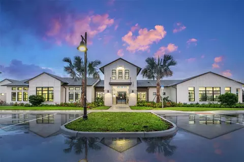 View/Area - 13824 Sunlight Meadow Dr, Riverview, FL 33578 photo 5 of 6