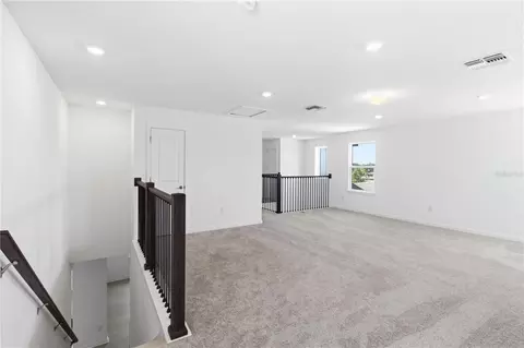 Other - 13824 Sunlight Meadow Dr, Riverview, FL 33578 photo 7 of 11