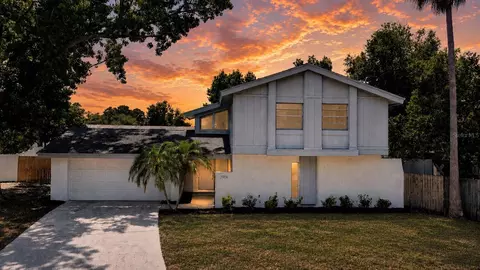 3906 Blooming Hill Ln, Palm Harbor, FL 34684