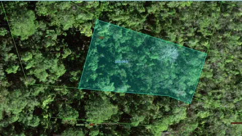 28-28 02-934710-003070 Perch Dr, Poinciana, FL 34759