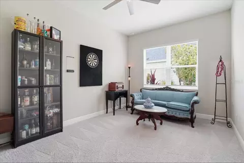 Other - 13712 Old Creek Ct, Parrish, FL 34219 photo 9 of 16