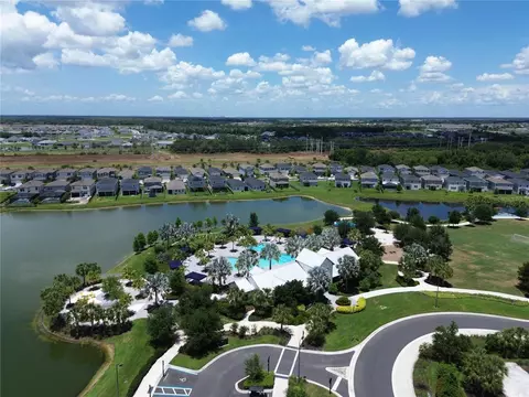 View/Area - 9109 Royal River Cir, Parrish, FL 34219 photo 8 of 15