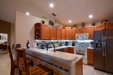 Kitchen - 11347 Walden Loop, Parrish, FL 34219 photo 3 of 3