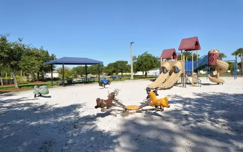 View/Area - 11347 Walden Loop, Parrish, FL 34219 photo 9 of 9