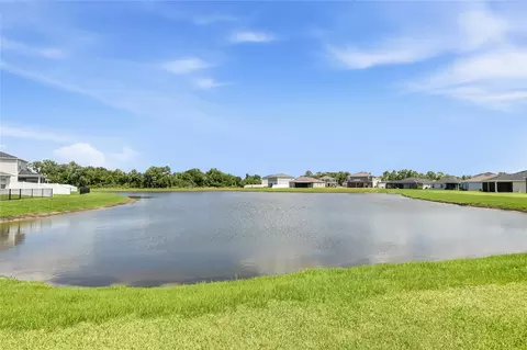 View/Area - 10927 Bluestem Cv, Parrish, FL 34219 photo 1 of 10