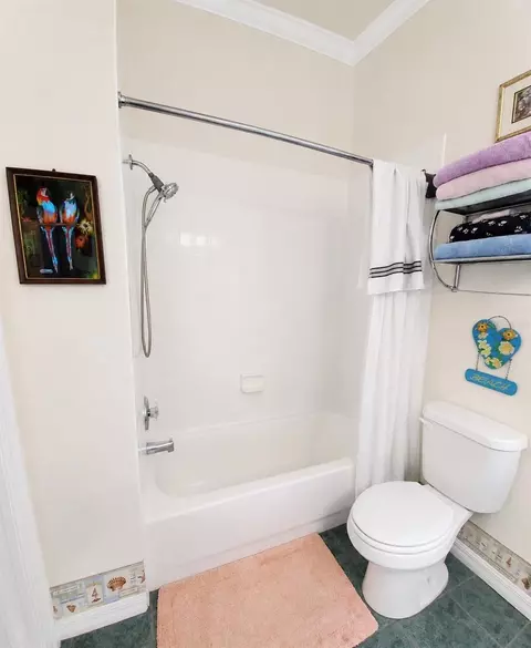 Bath - 7517 Jomel Dr, Weeki Wachee, FL 34607 photo 7 of 10