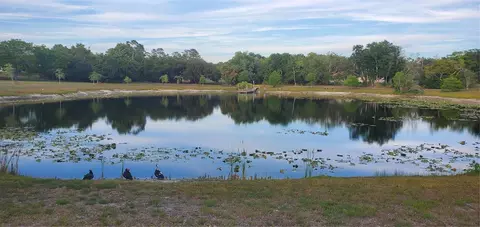 View/Area - 7517 Jomel Dr, Weeki Wachee, FL 34607 photo 2 of 2