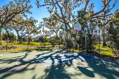 View/Area - 3410 Box Turtle Ter, Parrish, FL 34219 photo 19 of 21