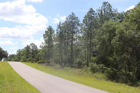 tbd SE 114th Pl, Dunnellon, FL 34431