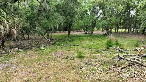 Old Cone Grove Road, Riverview, FL 33578 photo 5