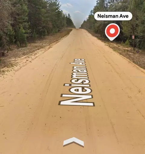 Neisman, Interlachen, FL 32148 photo 2